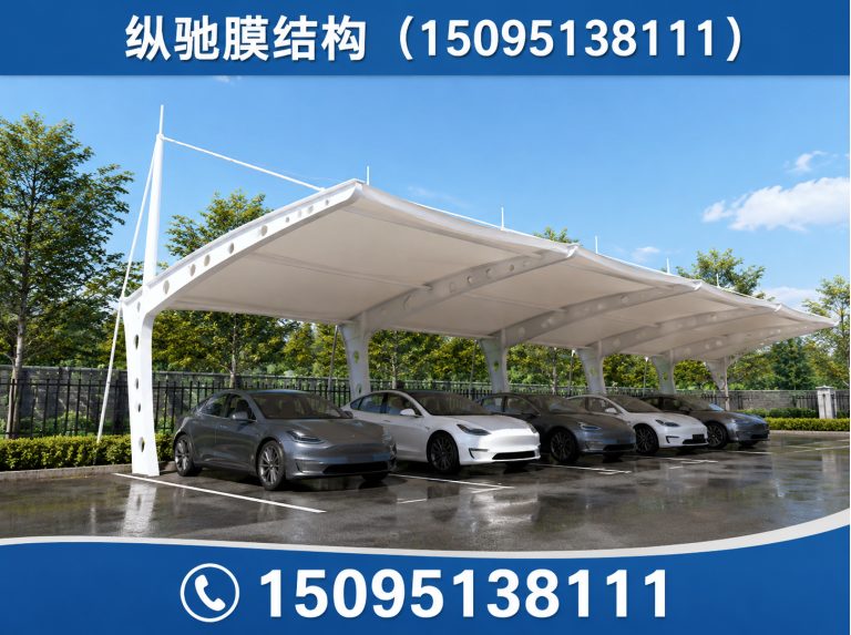 昌邑市膜结构停车棚展示图